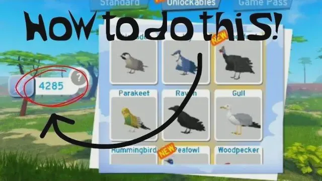 How to earn Feathers